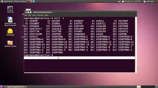 Process Control 2  The kill and killall Commands [upl. by Ardnaek81]