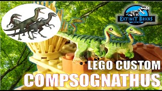 COMPSOGNATHUS LEGO JURASSIC WORLD CAMP CRETACEOUS DINOSAUR CUSTOM  CHAOS THEORY COMPSOGNATHUS [upl. by Harwin]