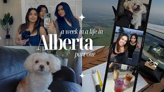 Alberta VLOG  part one [upl. by Wenonah435]