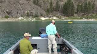 Omak Lake Lahontan Cutthroat [upl. by Brewer133]