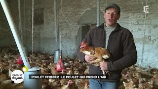 Poulet fermier  le poulet qui prend lair [upl. by Saihttam]