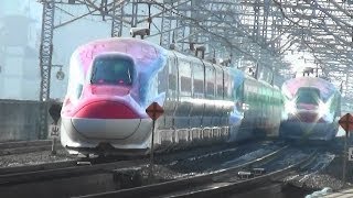 最近の東北新幹線 郡山駅 Tohoku Shinkansen Koriyama Station [upl. by Leodora]