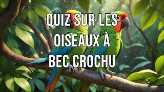 Quiz sur les oiseaux à bec crochu [upl. by Uis]