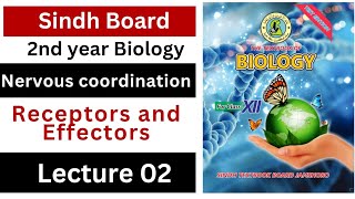 receptors and effectors  nervous coordination  class 12 biology Sindh board New book [upl. by Aelram]