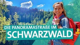 Der Schwarzwald – Von Freudenstadt über die Hochstraße nach BadenBaden  ARD Reisen [upl. by Asilim]