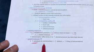 Baroreceptor amp Chemoreceptors  مستقبلات الضغط والمستقبلات الكيميائية [upl. by Lightfoot]