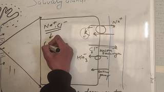 Mechanism of Salivary secretion  Salivary gland  GI PHYSIOLOGY  MBBS BDS NURSING [upl. by Saref]