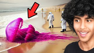 CRAZIEST Things Caught on Video [upl. by Katti]