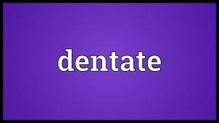 Dentate Meaning [upl. by Hamlin501]