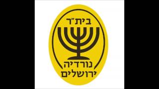 צלילי העוד  מנורה על החולצה וכדורגל מברזיל [upl. by Arikahc666]