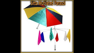 Mutilated Parasol  Sitta  lepetitmagiciencom [upl. by Noirod887]