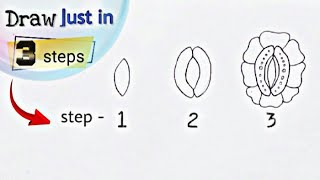 How To Draw Stomata step by stepeasily  How to draw open and closed stomatal spore [upl. by Eloisa428]