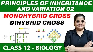 Principles of Inheritance and Variation 02  Monohybrid Cross amp Dihybrid Cross  Class 12 NCERT [upl. by Ransome]