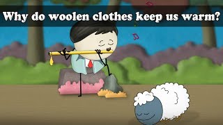 Why do woolen clothes keep us warm  aumsum kids science education children [upl. by Rentsch]