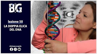 La DOPPIA ELICA del DNA  Erwin Chargaff Rosalind Franklin James Watson e Francis Crick [upl. by Tnek]