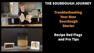 Troubleshooting Your New Sourdough Starter Recipe RED FLAGS and Pro Tips [upl. by Econah]