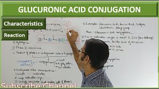 GLUCURONIC ACID CONJUGATION Phase II reaction of Metabolism Biotransformation of Drugs [upl. by Nnylf]