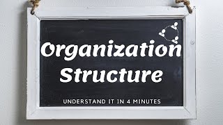 Organization Structure 组织结构 [upl. by Zamir]