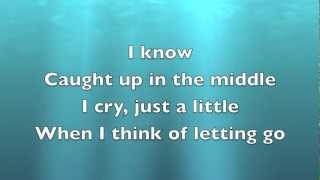 I Cry  Flo Rida Lyrics [upl. by Niarbo883]