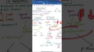 THALASSEMIA Kya Hai 🩸✅️  AlphaBetaMinorMajor  shortsdoctor [upl. by Nayr]