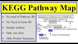 KEGG pathway map in tbtool [upl. by Anoved]