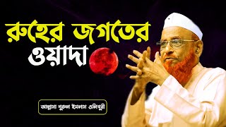 রুহের জগতের ওয়াদা  আল্লামা নুরুল ইসলাম ওলিপুরী nurul islam olipuri [upl. by Ymaj]