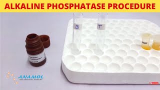 Alkaline Phosphatase Test ALP [upl. by Ayocat872]