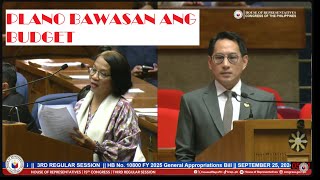 CASTRO BINAWASAN ANG BUDGET NI VP SARAH [upl. by Aner]