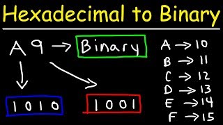 How To Convert Hexadecimal to Binary [upl. by Nadabas339]