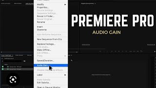 Adobe audio gain  premier pro [upl. by Waldon811]