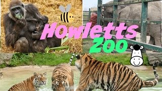 Howletts Zoo [upl. by Jacques854]