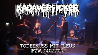 KADAVERFICKER  Todeskuss mit Ileus Live at FZW 04022017  Ansage an Drachenlord [upl. by Ebbarta286]