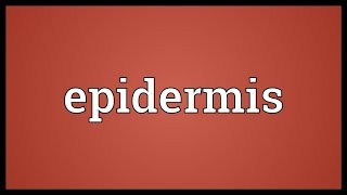 Epidermis Meaning [upl. by Pena475]