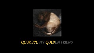 AuGhost  Goodbye My Golden Friend prod Jewelryboy [upl. by Silera]