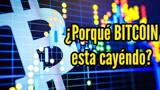 ¿Por qué Bitcoin está cayendo 4 razones y pronósticos [upl. by Melmon]