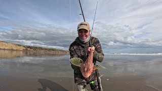 A bit of Muriwai magic  a fun couple hrs solo flicking a few baits into the wild west coast surf [upl. by Yniffit]