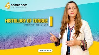 Histology of Tongue  Anatomy Video Lectures  Medical Education  VLearning [upl. by Nosneh]