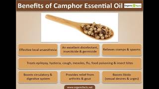 Health Benefits of Camphor Oil [upl. by Nimad]