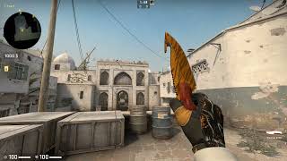 Knife Glove Combo Big Game Gloves and Gut Knife Tigertooth CSGO [upl. by Krenek]