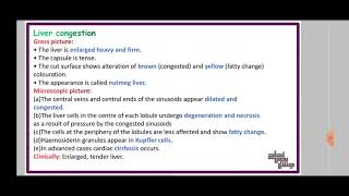 Extra of L10 Ischemia infarction hyperemia and congesion pathology [upl. by Liz]