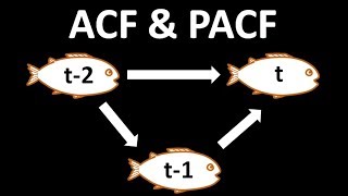 Time Series Talk  Autocorrelation and Partial Autocorrelation [upl. by Lanoil]