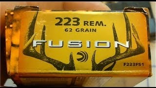 223 Rem Fusion 62 gr Ballistic Gel Test [upl. by Constance585]