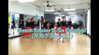 Phoenix Bamboo In The Moonlight 月光下的凤尾竹  Line Dance Penny Tan MY  September 2024 [upl. by Macmahon]