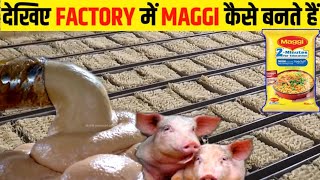 देखिए Factory में Maggi कैसे बनती है  Factory Mein Maggi Kaise Banti Hai  Maggie Noodles [upl. by Rhoda]