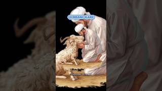 NABIE BARHAQUE IRSHAD FARMAYA  QURBANI KAISE KARNA CHAHIE  islamicvideo qurbani howtoqurbani [upl. by Ylecara]