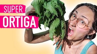 Beneficios de la ORTIGA 🌿🌿 Medicina y alimento GRATIS [upl. by Nylarej]