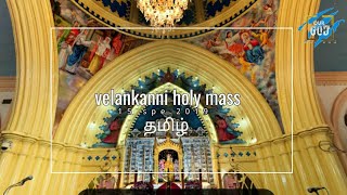 velankanni live mass today  velankanni live [upl. by Hnah]