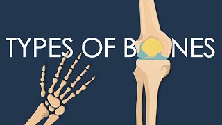 These are the types of bones in your body [upl. by Woodhouse]