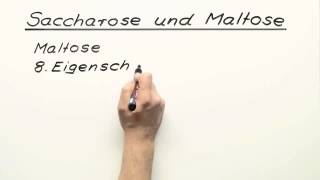 Saccharose und Maltose  Chemie  Organische Chemie [upl. by Dniren219]