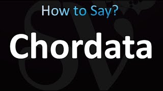 How to Pronounce Chordata Correctly [upl. by Nerha]